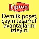Lipton Sunum
